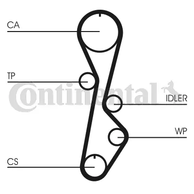 Timing Belt